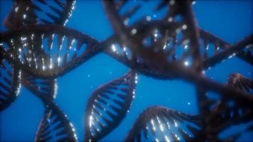 struktur der dna-doppelhelix-animation foto