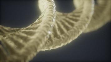 Endlos wiederholbare Struktur der DNA-Doppelhelix-Animation foto