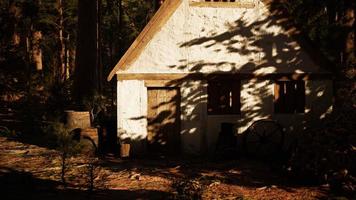 altes Holzhaus im Herbstwald foto