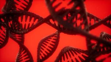 struktur der dna-doppelhelix-animation foto