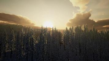 Winterlandschaft bei Sonnenuntergang foto