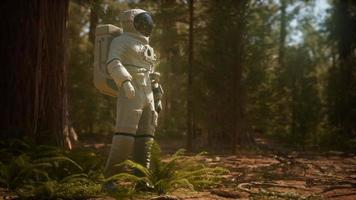 Einsamer Astronaut im dunklen Wald foto