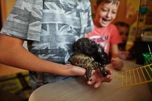 kinder, die ihre lieblingshaustiere an den händen halten. Kinder spielen zu Hause mit Hamster, Schildkröte und Papageien. foto