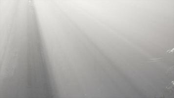 nebliger nebel im kiefernwald an berghängen foto