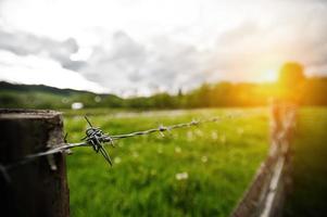 Stacheldraht auf sonnigem Hintergrund foto