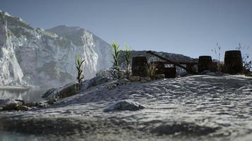 Holzfässer mit Seefisch am Sandstrand foto