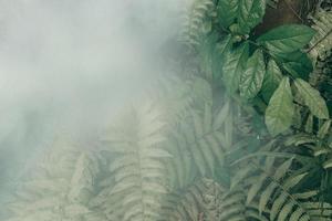 vertikaler Garten mit tropischem grünem Blatt mit Nebel und Regen, dunkler Ton foto