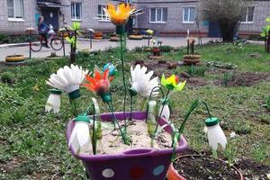 Gänseblümchen aus Plastikflasche foto