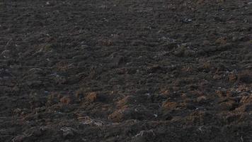 gepflügter Boden. Das Feld ist bereit für die landwirtschaftliche Arbeit. schwarze Erde. landwirtschaftliches Feld foto