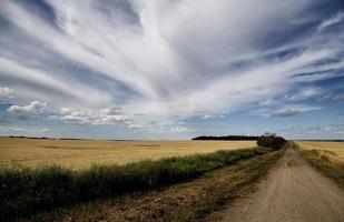 Prärie-Szene Saskatchewan foto
