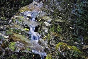 Wasserfall Picton Neuseeland foto