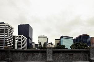 wellington neuseeland stadt foto