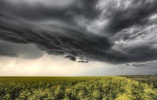 Gewitterwolken Saskatchewan foto