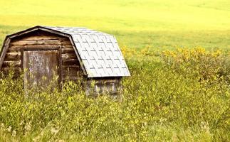 Präriescheune Saskatchewan foto