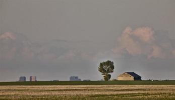 alte Scheune und Baum foto