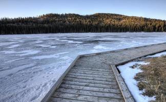 Zypressenhügel Alberta foto