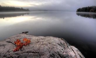 See im Herbst Sonnenaufgang Reflexion foto