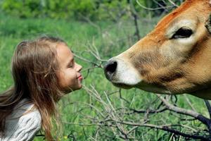 Lächelndes Schulmädchen wird am Sommertag draußen eine schöne Kuh küssen foto