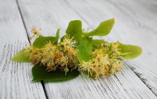 Lindenblüten auf dem Tisch foto