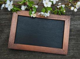 frühlingskirschblüte und tafel foto