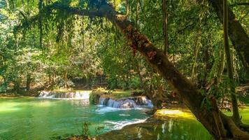 panoramischer exotischer schöner tropischer Wasserfall des tiefen Regenwaldes frische Wasserfälle im tiefen Wald