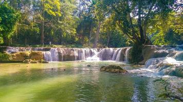 panoramischer exotischer schöner tropischer Wasserfall des tiefen Regenwaldes frische Wasserfälle im tiefen Wald