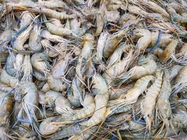 frische Garnelen zum Verkauf im Fischrestaurant auf dem Markt, rohe Garnelen auf Eis foto