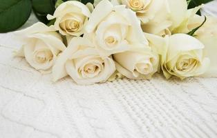 Rosen auf einem gestrickten weißen Hintergrund