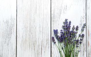 Haufen Lavendel foto