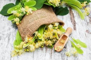 Lindenblüten auf dem Tisch foto