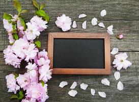 Sakura-Blüte mit Tafel foto