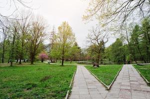 zwei ähnliche Pfade, aber unterschiedliche Richtungen im Park am Frühling foto