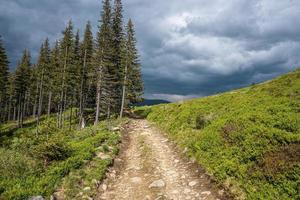 Fußweg mit Steinen zwischen dichten Bäumen gegen bewölkten Himmel foto