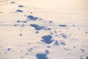 menschliche spuren auf einem schnee. Winterhintergrund. foto