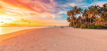 ruhige Sommerferienlandschaft. tropischer Inselsonnenuntergangstrand. Palmenufer ruhiger Seesand. Exotische Naturlandschaft, inspirierende und friedliche Meeresspiegelung, erstaunlicher Himmelssonnenuntergang foto