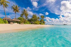 ruhige Strandszene. sonnige exotische tropische Landschaftstapete. design sommerferien urlaubskonzept. Luxusreiseziel, idyllische Natur, malerische Palmenblätter, erstaunliche natürliche Umgebung foto