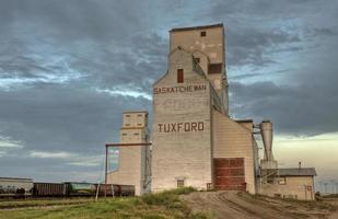 Getreidesilos in Saskatchewan foto