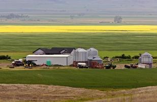 Bauernhof in der Nähe von Mortlach, Saskatchewan foto