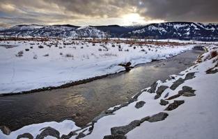 Yellowstone Park Wyoming Winterschnee foto