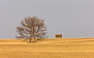 Farm Getreidespeicher Prärie Kanada foto