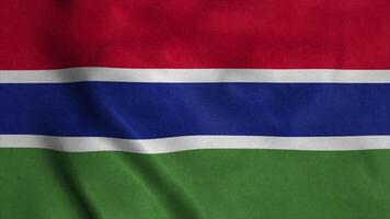 gambia schwenkende flagge mit stoffstruktur. 3D-Rendering foto