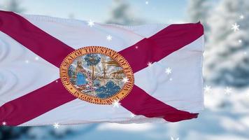 florida winter schneeflocken flagge hintergrund. vereinigte Staaten von Amerika. 3D-Darstellung foto