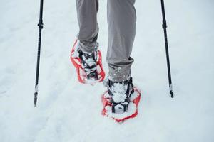 mann reisender mit rucksack wandern reise lifestyle abenteuer konzept aktivurlaub im freien. schöne Waldlandschaft foto