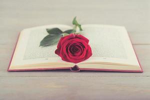 Rose in einem Buch foto