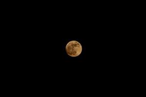 Vollmond mit schwarzer Nacht foto