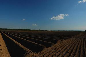 Ackerland und blauer Himmel foto