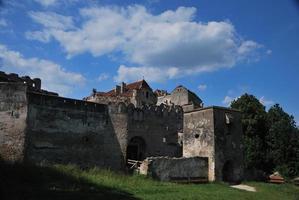 Altes Schloss in der Natur foto