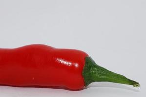 Red Chili-Makro-Ansicht auf weißem Hintergrund foto