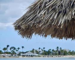 Palmblattdach mit Meer, Strand und weißem Baldachin im Hintergrund in der Dominikanischen Republik foto