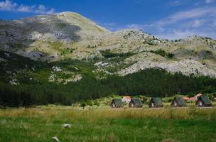 kleine häuser und graswiese in der nähe des dorfes negushi, montenegro foto